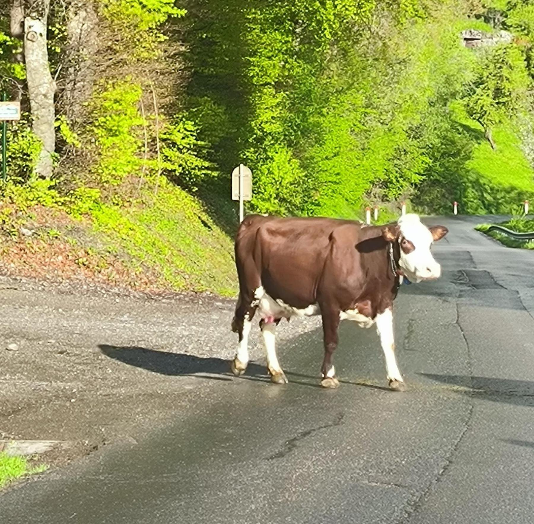 A Cordon Entre Bois Et Nature Exterior foto